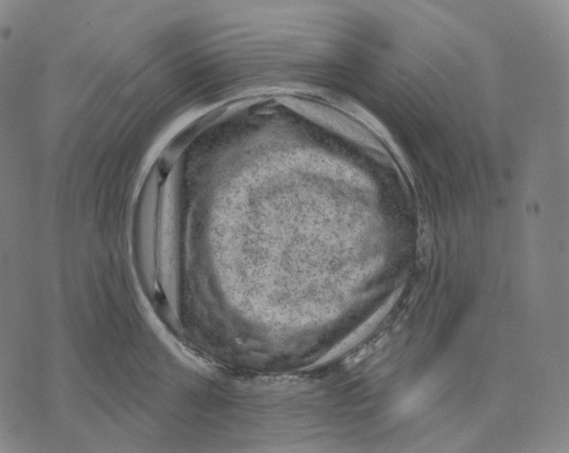 X0000071800811200607211645