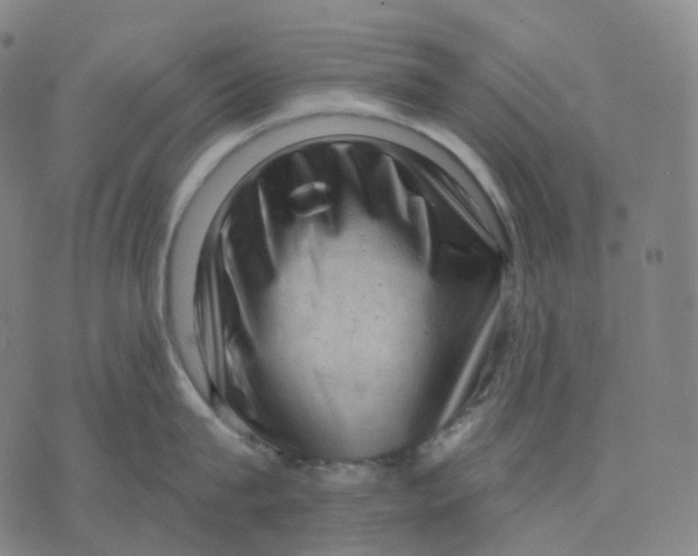 X0000071800815200607211645