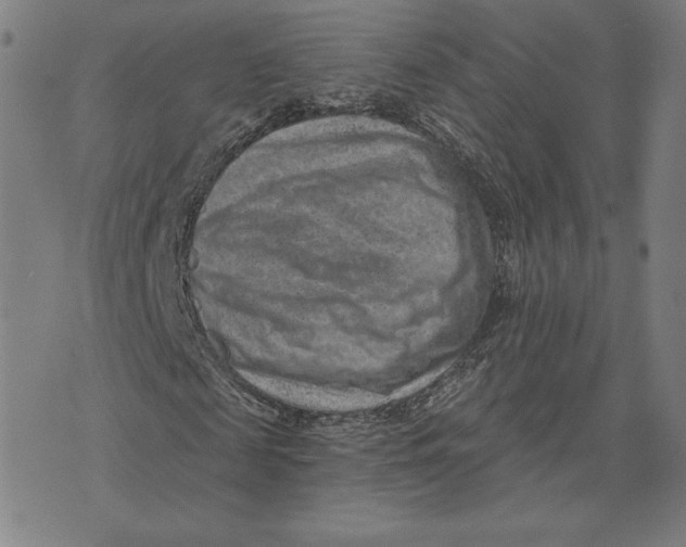 X0000071800817200607211644