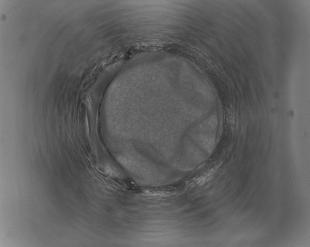 X0000071800818200607211644