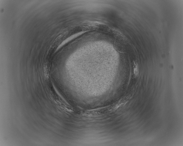 X0000071800819200607211644