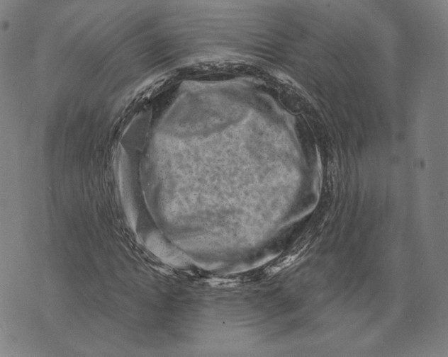 X0000071800822200607211644