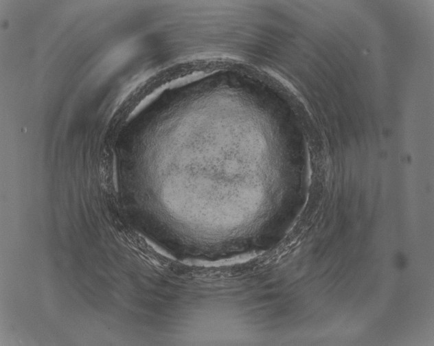 X0000071800823200607211644