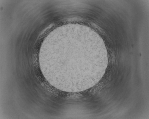 X0000071800824200607211644