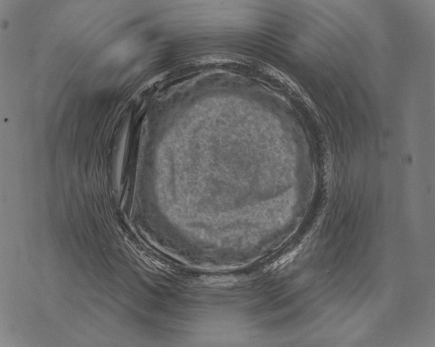 X0000071800825200607211644