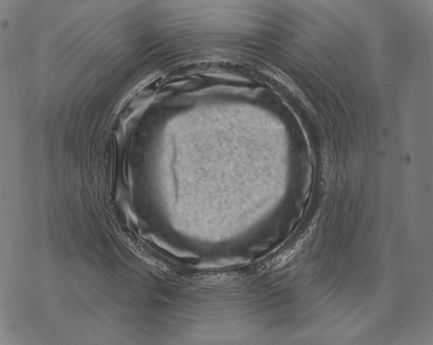 X0000071800826200607211645