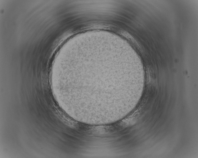 X0000071800828200607211645