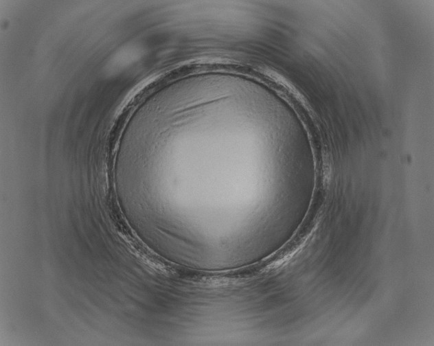 X0000071800829200607211645