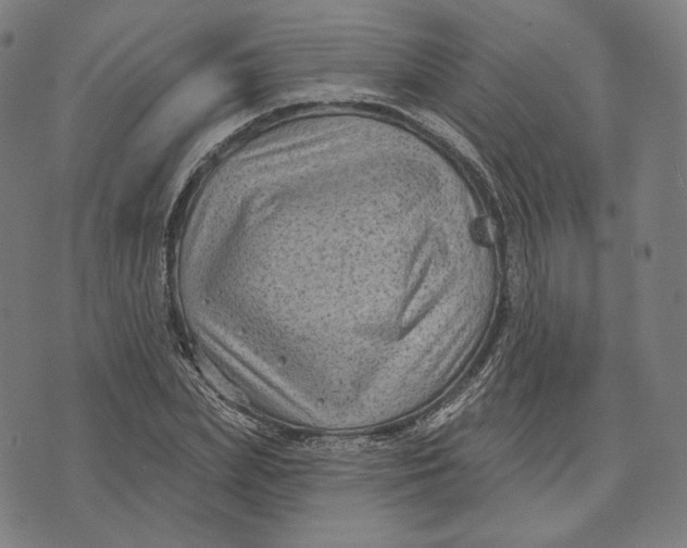 X0000071800831200607211645