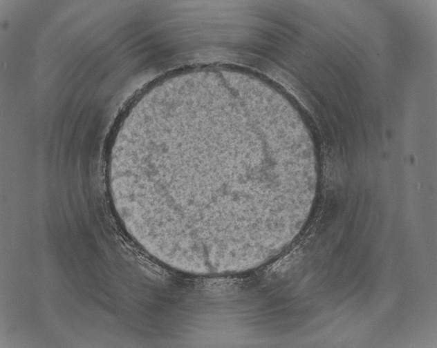 X0000071800832200607211645