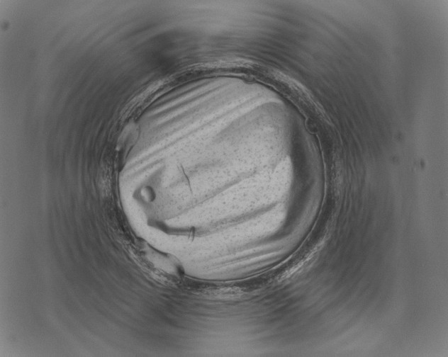 X0000071800833200607211645