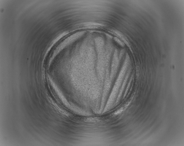 X0000071800835200607211645