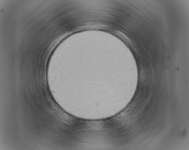 X0000071800836200607211645