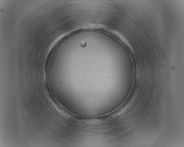 X0000071800837200607211645