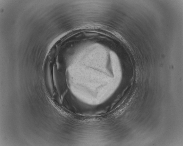 X0000071800838200607211645