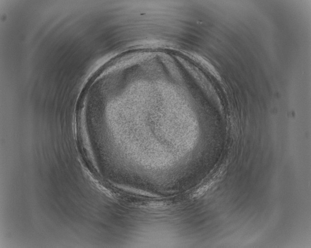 X0000071800839200607211645