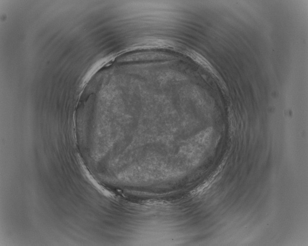 X0000071800842200607211645