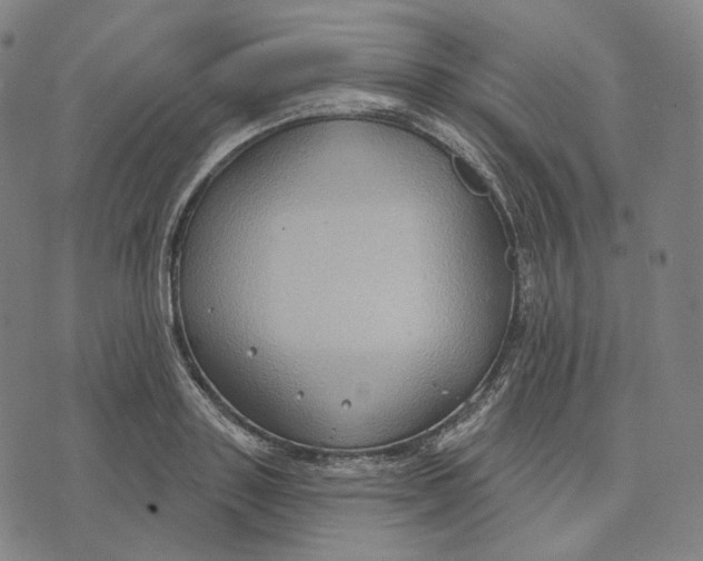 X0000071800843200607211645