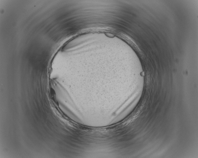 X0000071800844200607211645