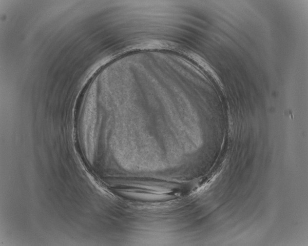 X0000071800845200607211645