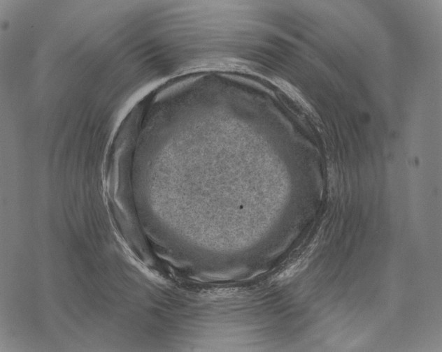 X0000071800846200607211645