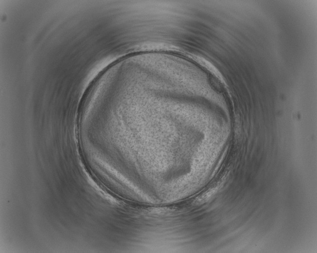 X0000071800847200607211645