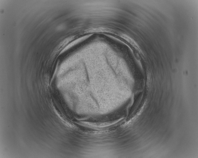 X0000071800849200607211645