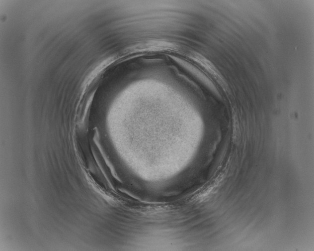 X0000071800850200607211645