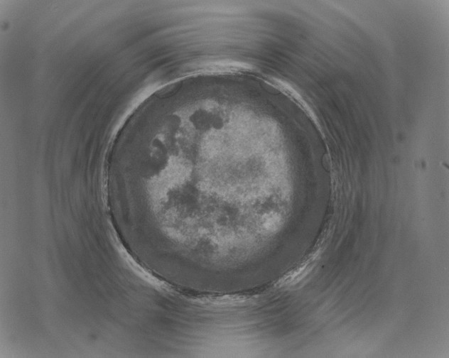 X0000071800851200607211645