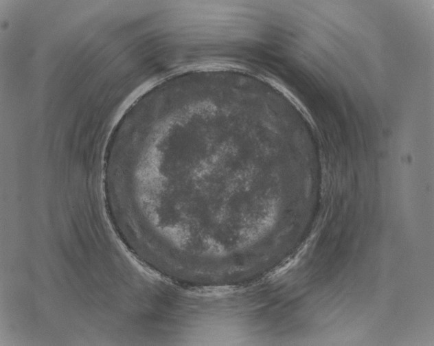 X0000071800853200607211645