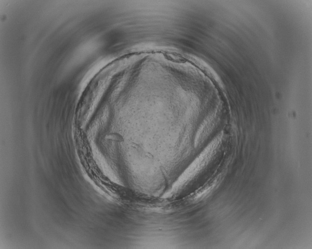 X0000071800855200607211645