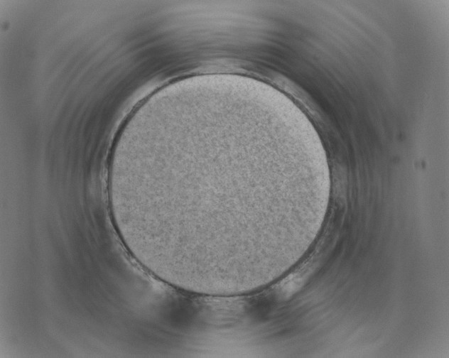 X0000071800856200607211645