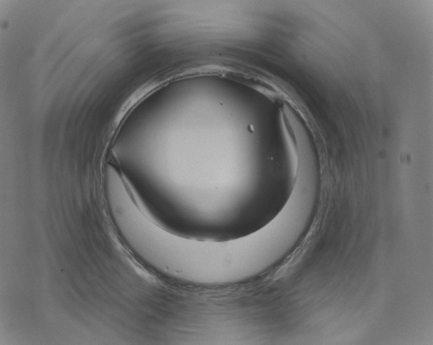 X0000071800858200607211645