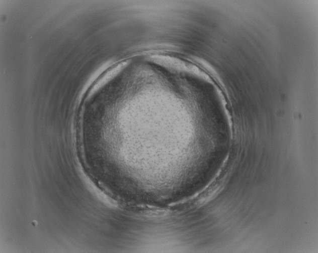 X0000071800859200607211645