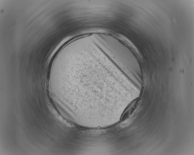 X0000071800860200607211645