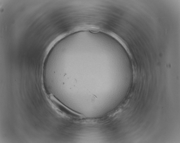 X0000071800861200607211645