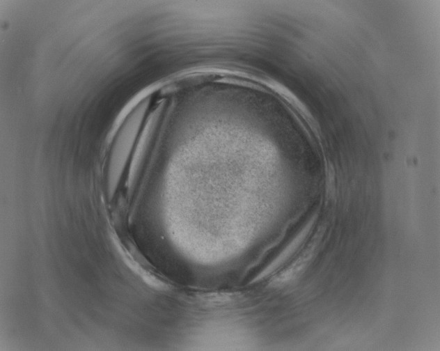 X0000071800862200607211645