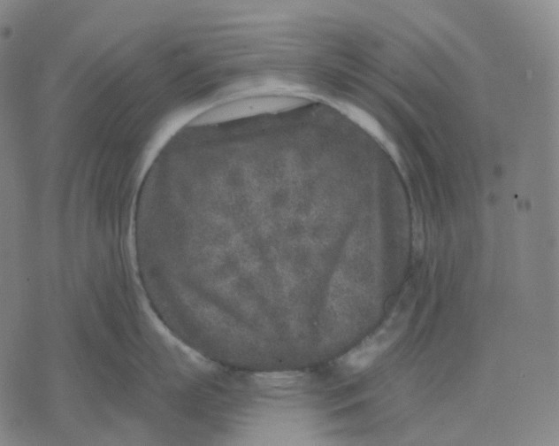 X0000071800863200607211645