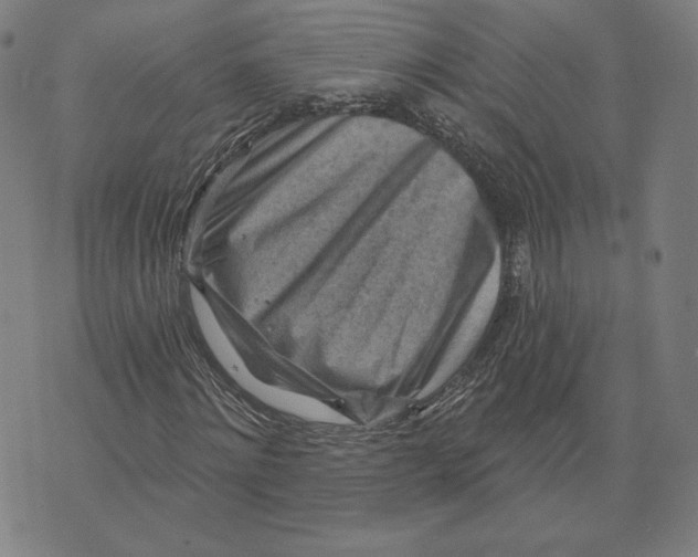 X0000071800868200607211644