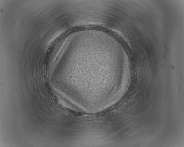 X0000071800871200607211644