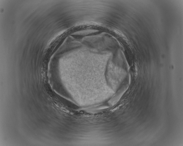 X0000071800872200607211644