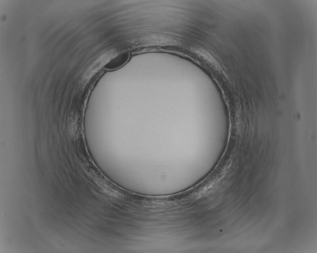 X0000071800873200607211644