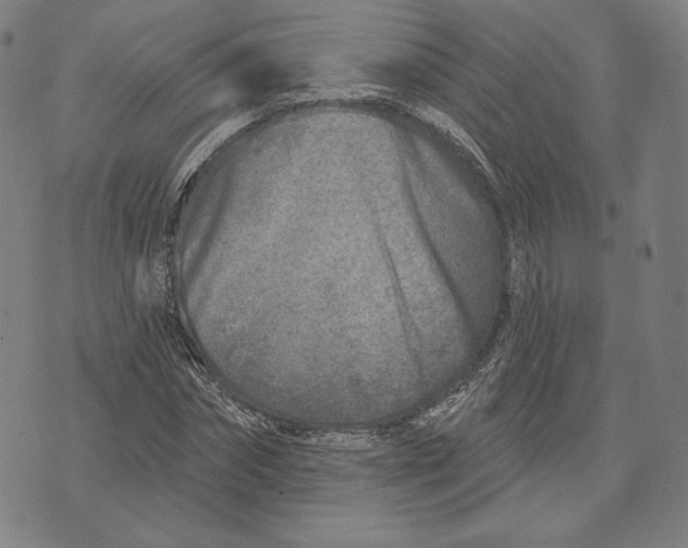 X0000071800874200607211644