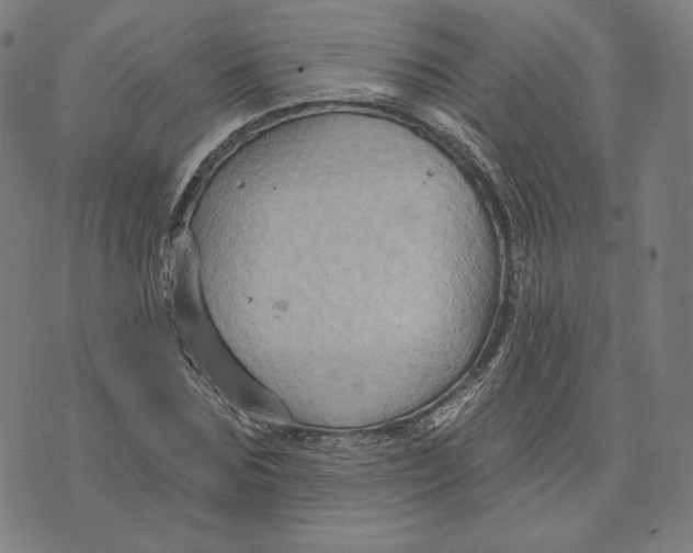 X0000071800875200607211644