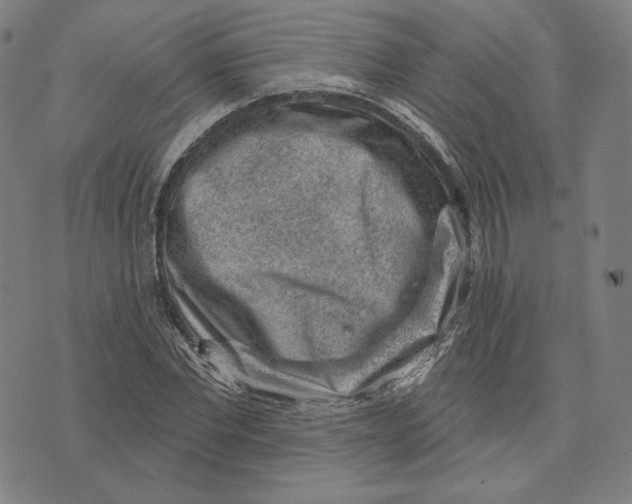 X0000071800877200607211644