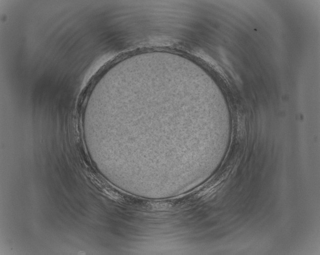 X0000071800878200607211644