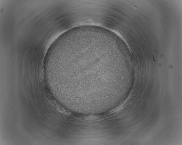 X0000071800879200607211644