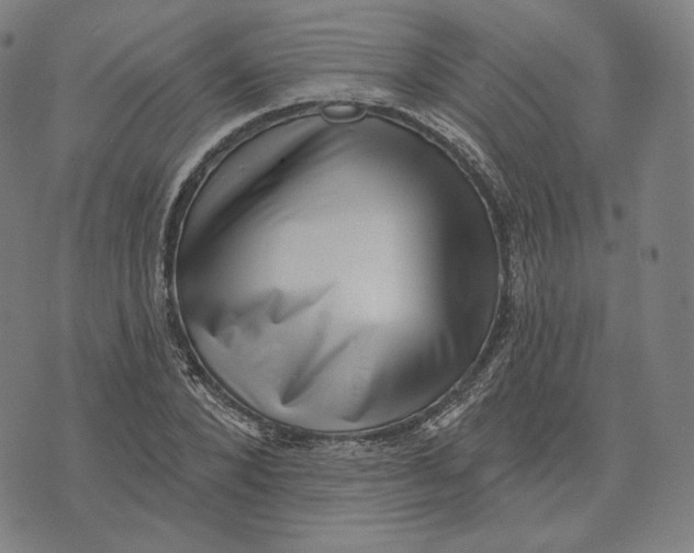 X0000071800880200607211644