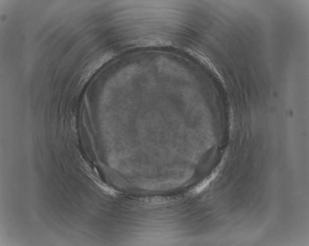 X0000071800881200607211644