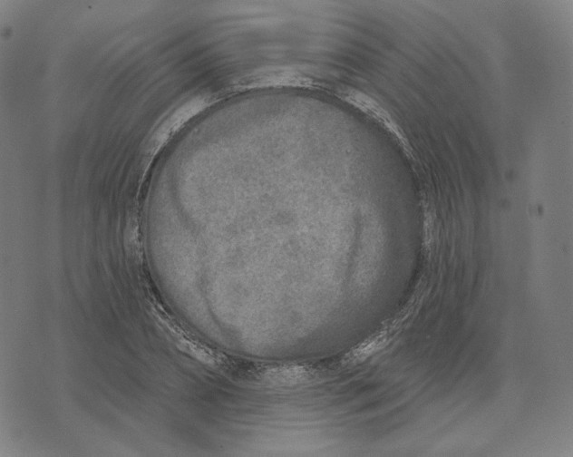 X0000071800882200607211644